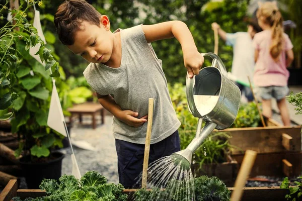 Anak Anak Belajar Bagaimana Bertani Dan Berkebun — Stok Foto