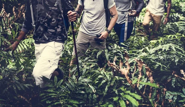 Turistas Personas Con Bastones Trekking Bosque — Foto de Stock