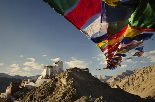Leh Palast Ladakh Indien — Stockfoto