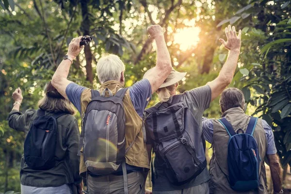 Vista Posteriore Persone Trekking Nel Bosco Gita Estiva — Foto Stock