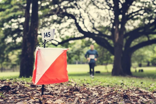 Orientierungslauf Box Wald — Stockfoto