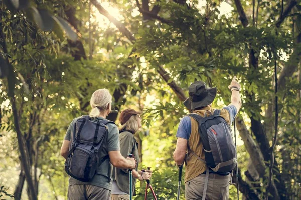 Vista Posteriore Persone Viaggiatore Escursioni Nella Foresta Estiva Uomo Punta — Foto Stock