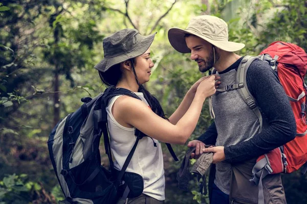 Wandelen Een Bos — Stockfoto