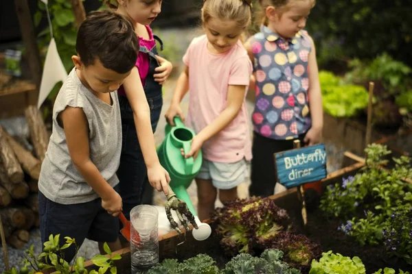 Bambini Imparano Coltivare Giardinare — Foto Stock