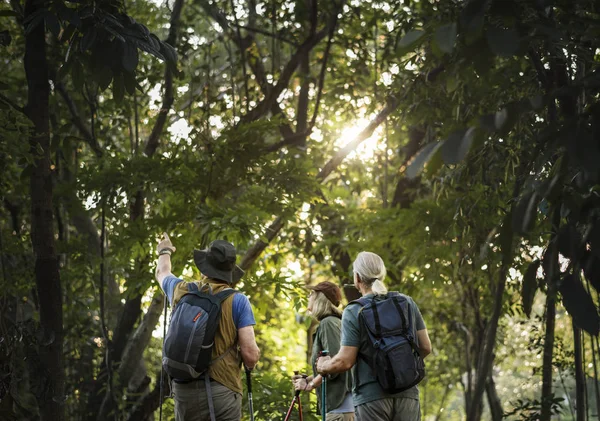 Achteraanzicht Van Reiziger Mensen Wandelen Zomer Bos — Stockfoto