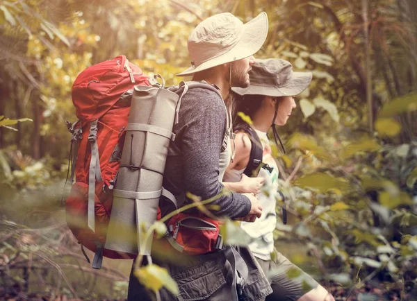 在森林里徒步旅行 — 图库照片