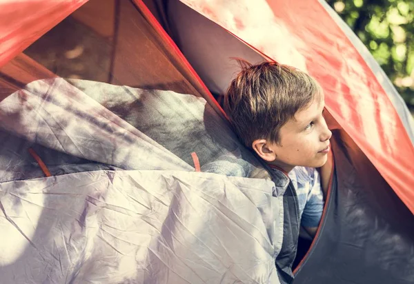 Kleine Jongen Kijkt Uit Van Tent Camping Het Bos — Stockfoto