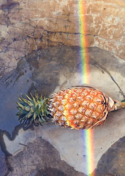 虹反射光とパイナップル — ストック写真