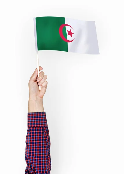 Person Waving Flag People Democratic Republic Algeria — стоковое фото
