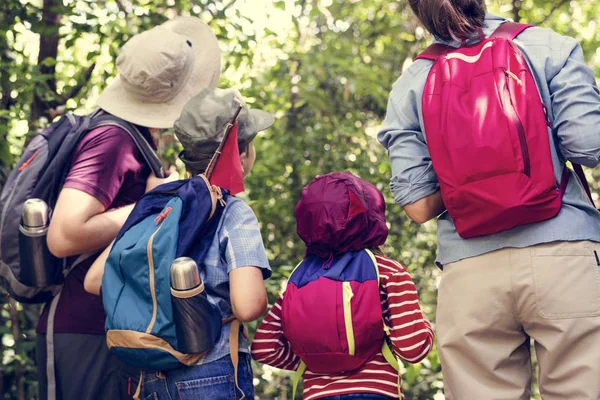 Arkadan Görünüş aile yürüyüşçü üzerinde uzak ormanda seyir sırt çantaları ile