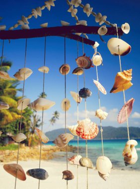 Deniz kabuğu ahenge tropikal bir lagün