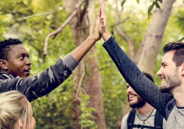 High Five Forest — Stock Photo, Image