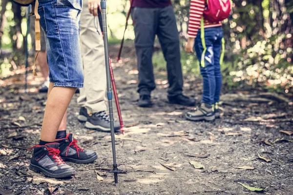 insanların ormanda yürüyüş Polonyalılar ile kısmi görünümü