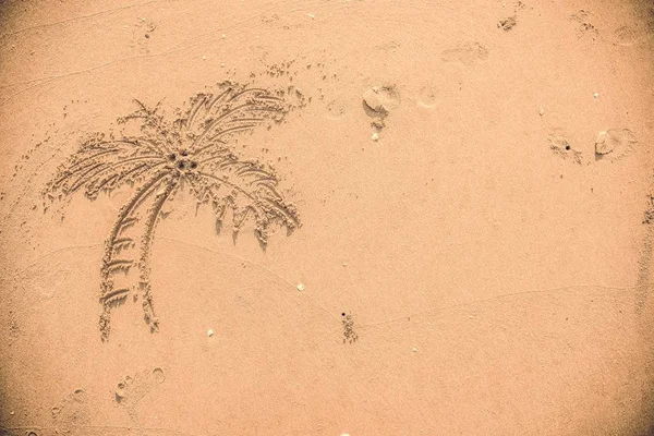 棕榈树画在沙子里 — 图库照片