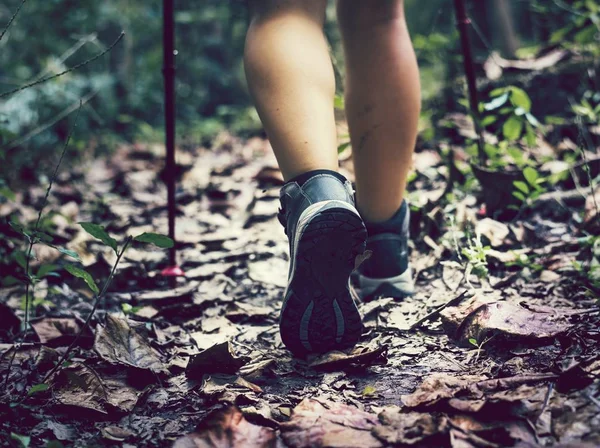 insan bacak ormanda yürürken kısmi görünümü 