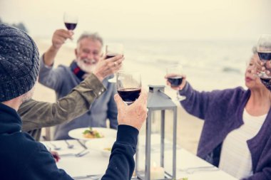 Sahilde kırmızı şarap ile toasting yaşlılar
