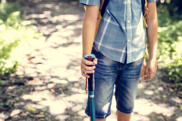 Çocuk bir orman yoluyla bir uzunluğu dörtte üçü hiking