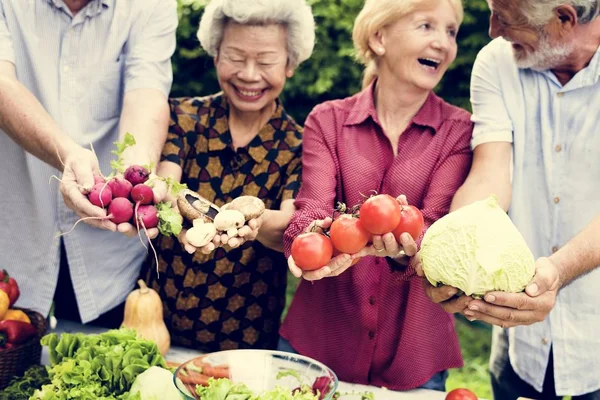Nahaufnahme Von Seniorenhänden Mit Frischem Bio Gemüse — Stockfoto