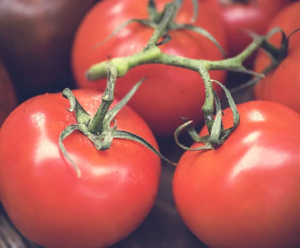 Closeup Fresh Organic Tomatoes — Stock Photo, Image