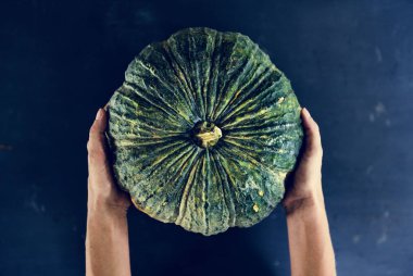 Taze kabak holding eller closeup