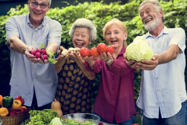 Primer Plano Las Manos Personas Mayores Que Sostienen Verduras Orgánicas — Foto de Stock