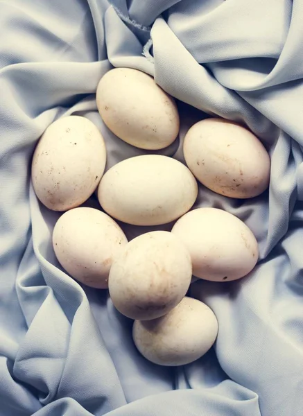 Closeup Αυγά Φρέσκα Βιολογικά Πάπιας — Φωτογραφία Αρχείου