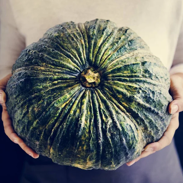 Closeup Hands Holding Fresh Pumpkin — Stock Photo, Image