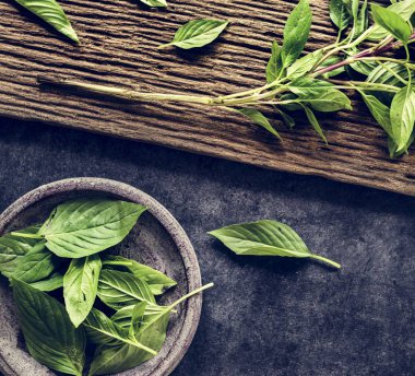 Fesleğen yapraklarının havadan görünüşü