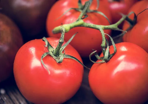 Close Shot Ripe Wet Tomatoes Branch — Stock Photo, Image