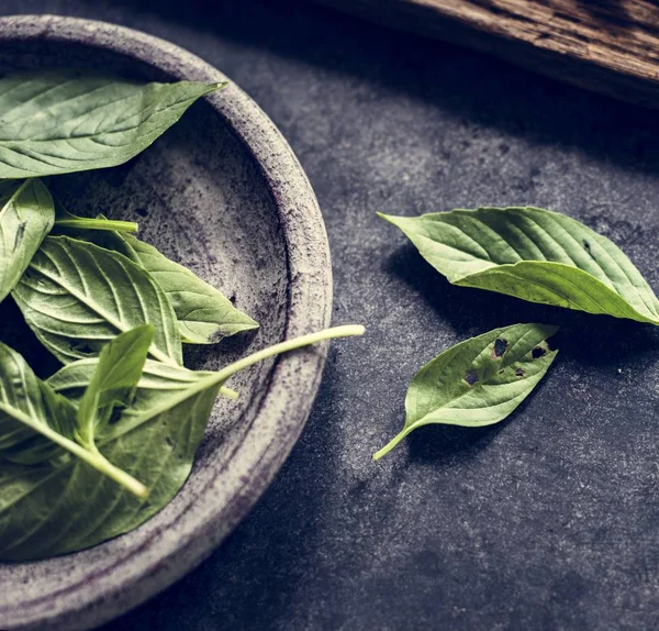 Taze fesleğen Asya bitkisi bırakır