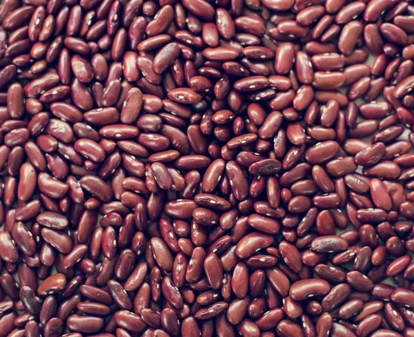 Closeup Red Kidney Beans Legume — Stock Photo, Image