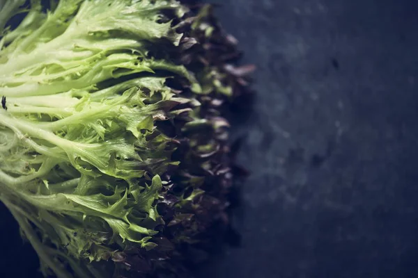 Closeup Fresh Organic Red Leaf Lettuce — Stok Foto