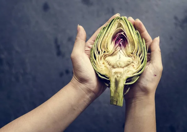 Mãos Produção Biológica Alcachofra Proveniente Exploração Agrícola — Fotografia de Stock