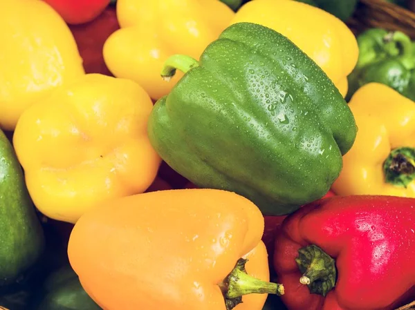 Taze dolmalık biberler