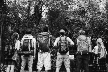 Birlikte bir ormanda, trekking arkadaşlar arka görünüm 