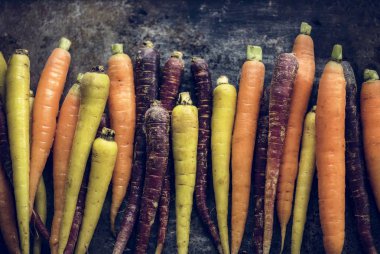 Portre sarı taze organik havuç