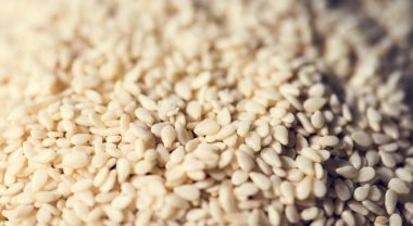 Susam ürün taze closeup