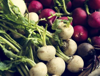 Beyaz ve kırmızı turp closeup