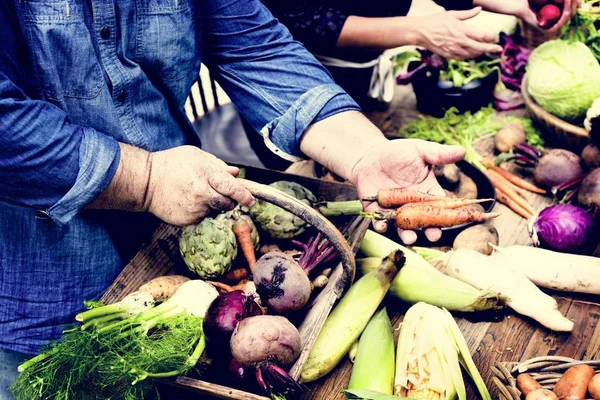 Closeup Hand Buying Fresh Organic Vegetable Market — Stock Photo, Image