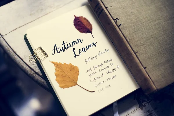 Сборник Осенних Листьев — стоковое фото