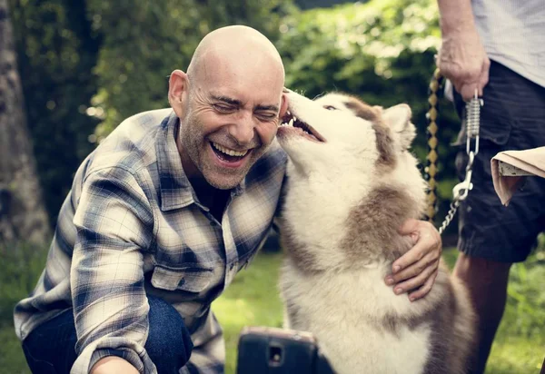 Ouderen Met Siberische Husky Hond — Stockfoto