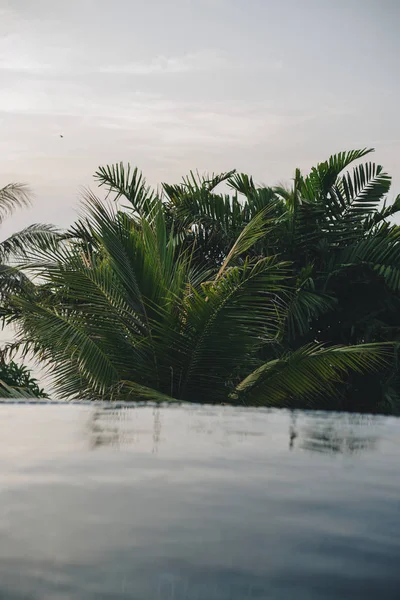 Infinity Pool Einem Resort — Stockfoto