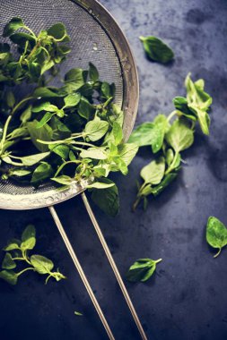 Taze fesleğen otlar