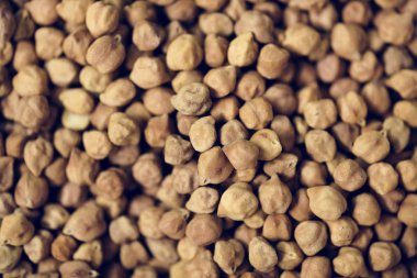 Nohut ürün taze closeup