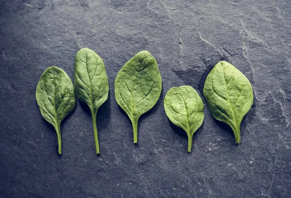 Zbliżenie Liści Świeżego Szpinaku Organiczne — Zdjęcie stockowe