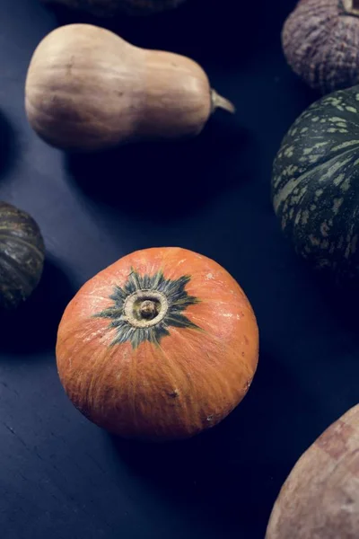 Luftaufnahme Diverser Frischer Kürbisse — Stockfoto