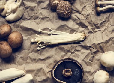 Çeşitli taze organik mantar küme koleksiyon havadan görünümü