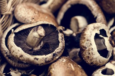 yakın çekim shot ham portobello mantar arka planı için