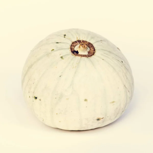 Primo Piano Zucca Bianca Fresca Sfondo Bianco — Foto Stock