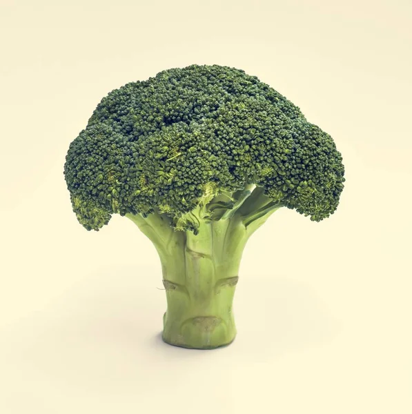 Conceito Brócolis Fresco Vegetal — Fotografia de Stock